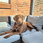 Geest Semesterbostad