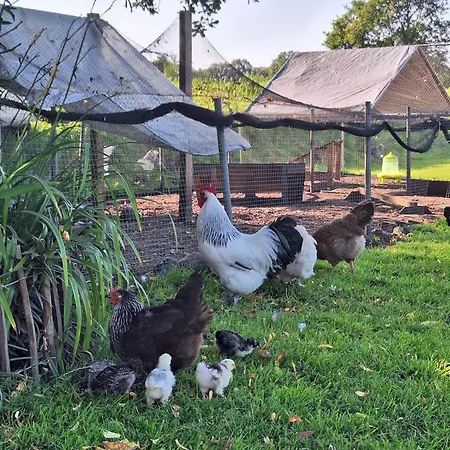 Geest Σπίτι διακοπών *