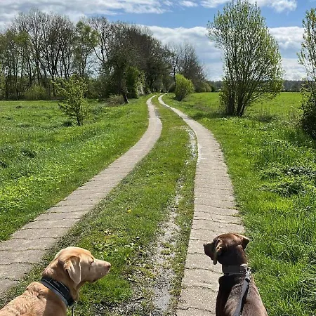 Geest Σπίτι διακοπών *