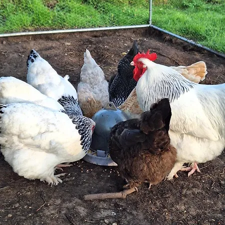 Geest Holiday home Grossenrade