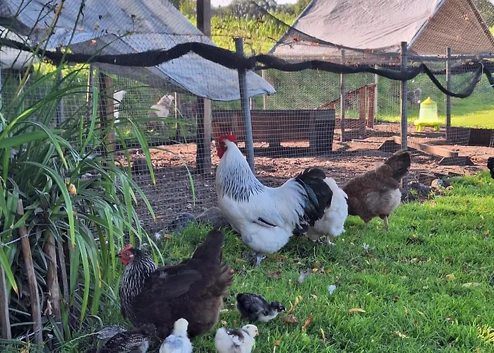 Geest Semesterbostad *