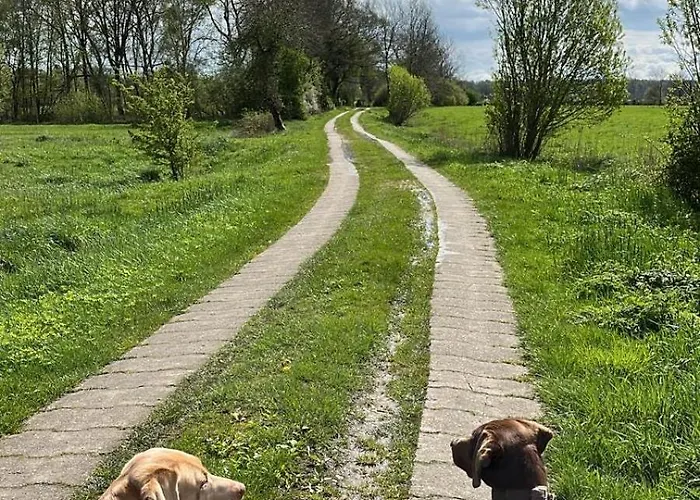 Geest Semesterbostad *