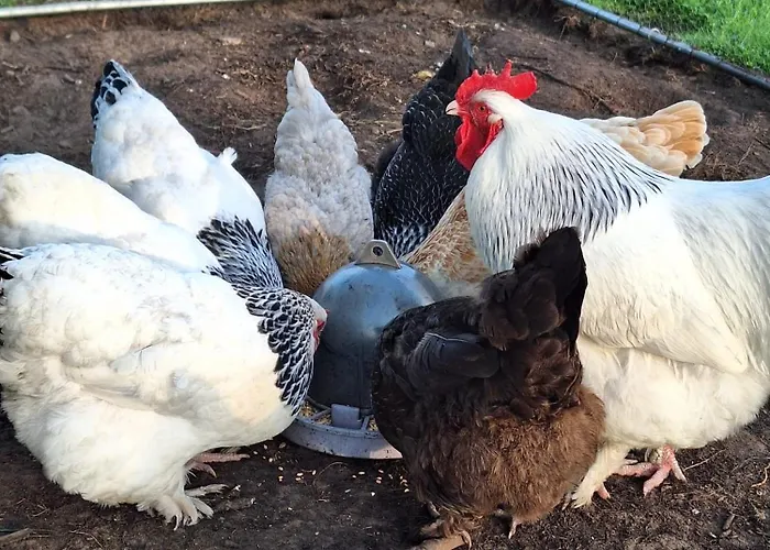 Geest Semesterbostad Grossenrade